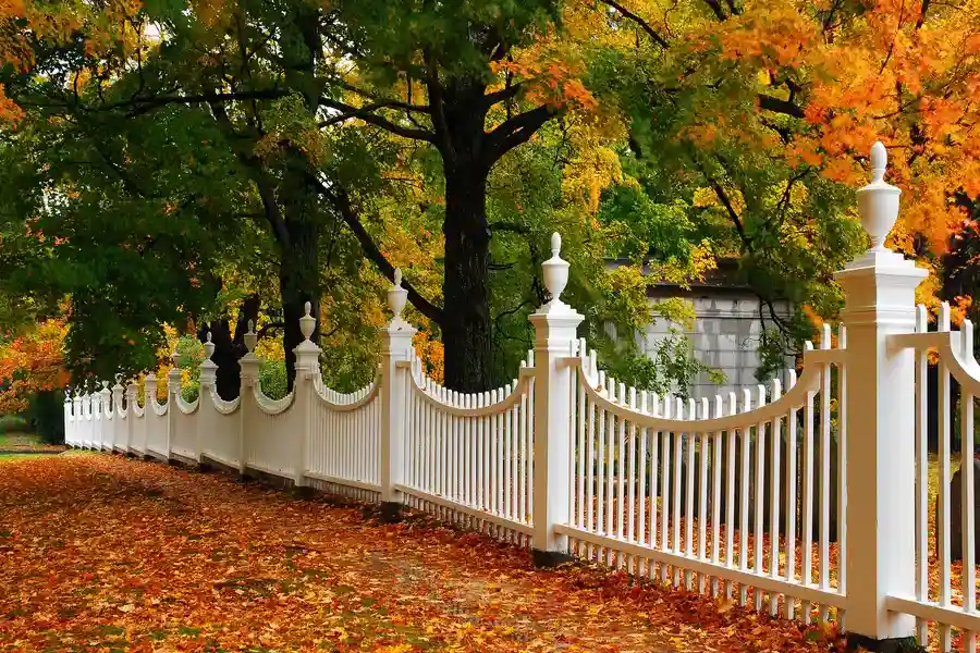 How Wood Fence Installation Enhances Your Propertys Appeal Arcadia FL